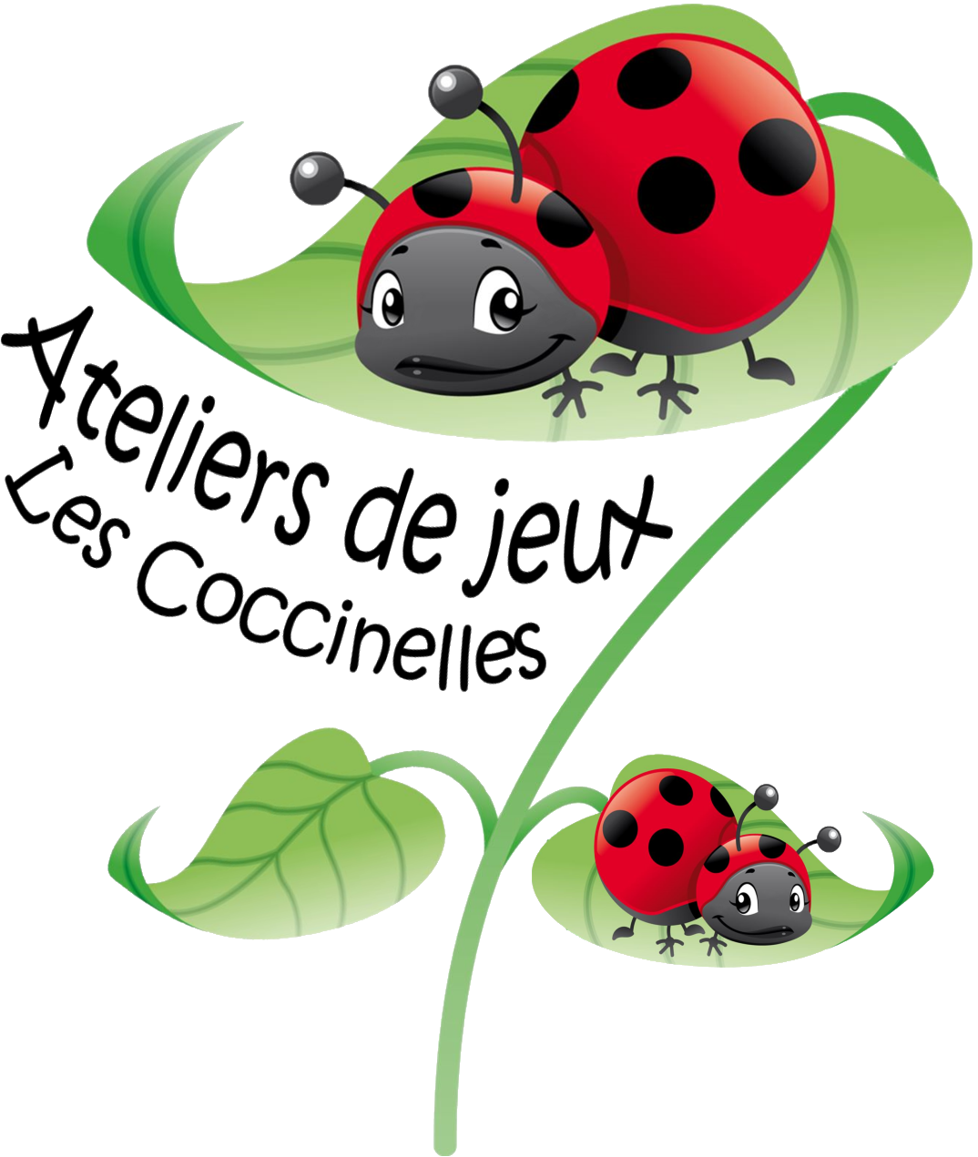 Les coccinelles